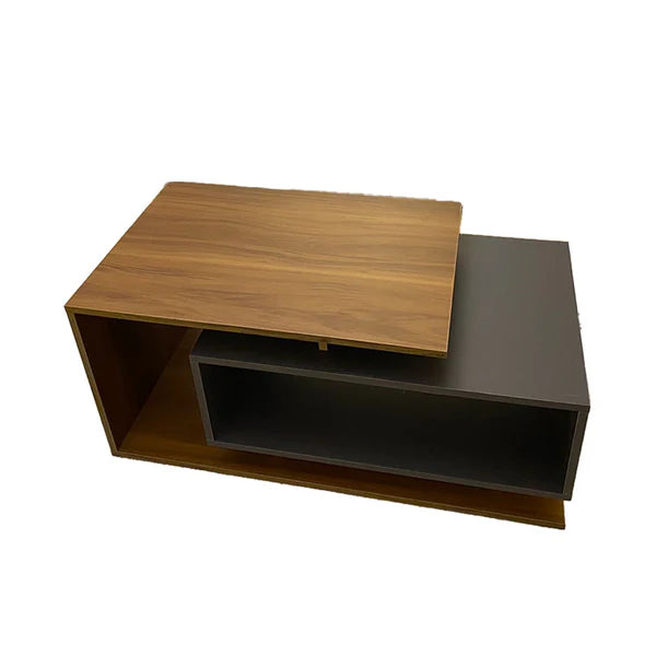 Modern living room with a sectional sofa, coffee table, and decorative elements.