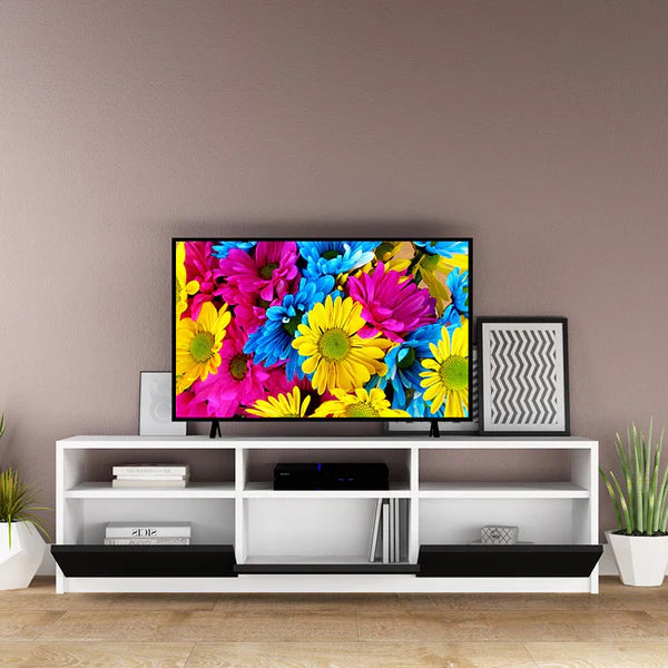 Steller orbit tv unit